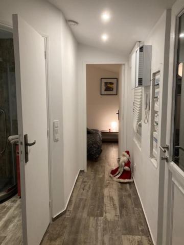 שטרסבורג Appartement Mozart מראה חיצוני תמונה